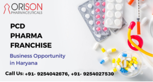 <a href="https://orisonpharmaceutical.com/blog/top-10-pcd-pharma-franchise-companies-in-haryana">Best PCD Pharma Franchise Company In Haryana</a>