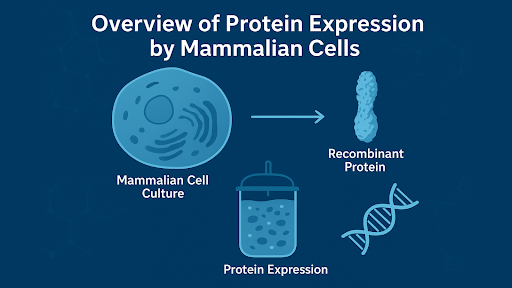recombinant bio-proteins