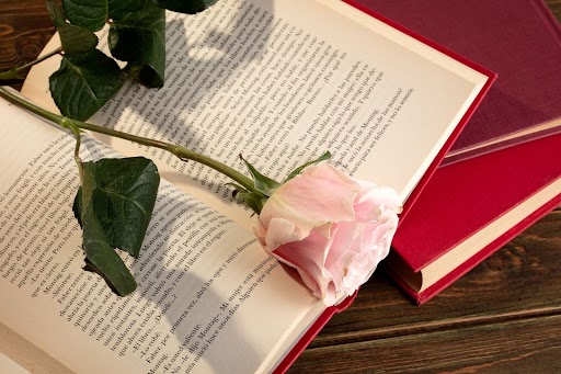 best-selling novels in India