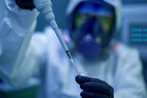 recombinant monoclonal antibodies
