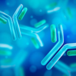 The Hidden Workhorse Behind Reliable Antibody-Based Experiments