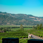 How to Do Napa Valley Right: A Practical Guide for Wine Lovers