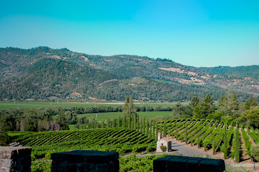 Napa Valley wineries