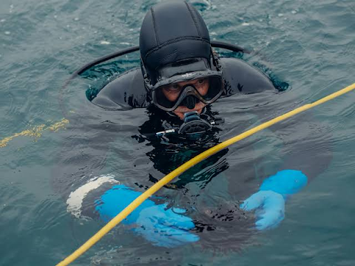 koh tao diving season