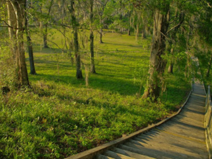 Visit Lake Jackson Mounds Archaeological State Park