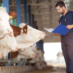 Partnering with a Third-Party Veterinary Manufacturing Company in Haryana: A Due Diligence Checklist