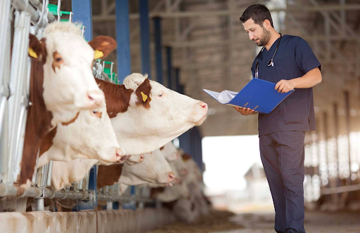 veterinary medicine manufacturers in Haryana